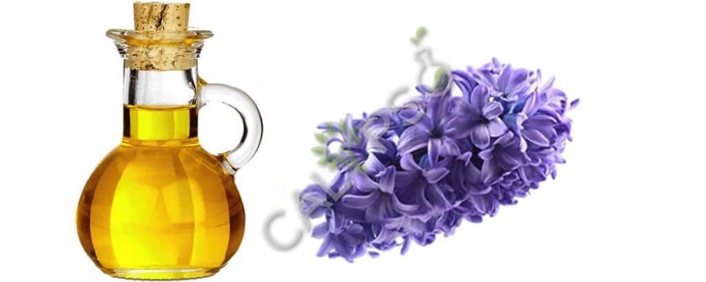 Aceite absoluto del jacinto puro